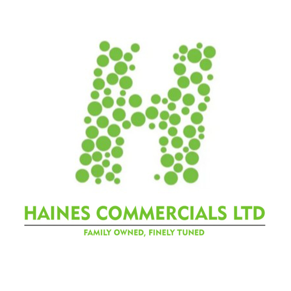 Haines Commercial Repairs